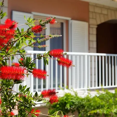 Casa de hóspedes House Ivan